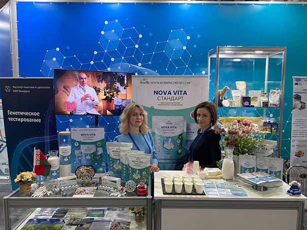 vystavka belarus intellektualnaya regiony 1