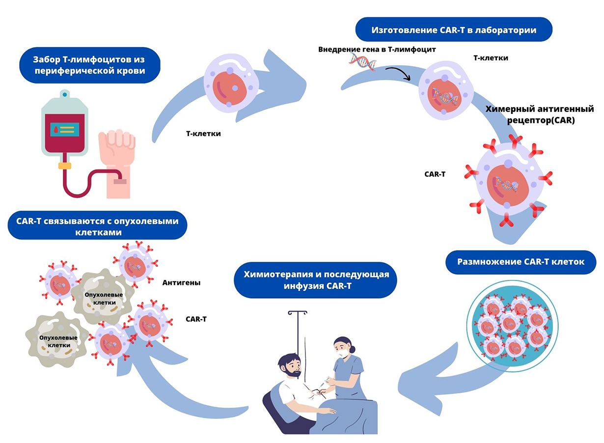 v chem sut car t kletochnoj terapii 1