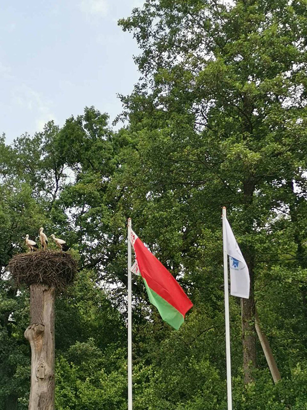 turisticheskij sljot pervichnykh profsoyuznykh organizatsij 2023 12