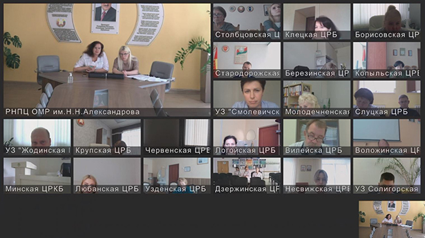 oblastnaya konferentsiya v on line formate po otsenke kachestva okazaniya meditsinskoj pomoshchi 03