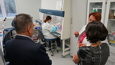 spetsialisty rnpts omr im n n aleksandrova i tsentra molekulyarnoj immunologii kuby obsudili vozmozhnosti sotrudnichestva 6