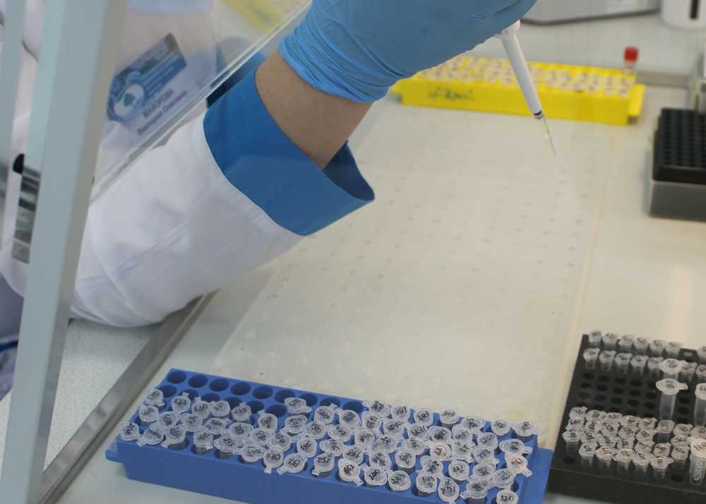 oncologicheskoe otdelenie virusologii2